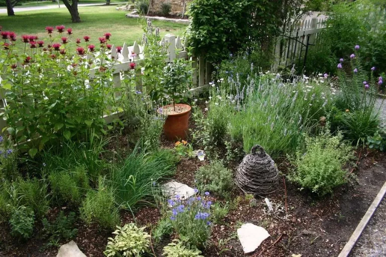 front yard herb garden